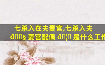 七杀入在夫妻宫,七杀入夫 🐧 妻宫配偶 🦆 是什么工作